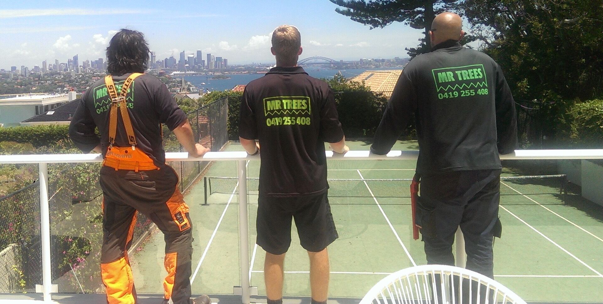 MR TREES team at work