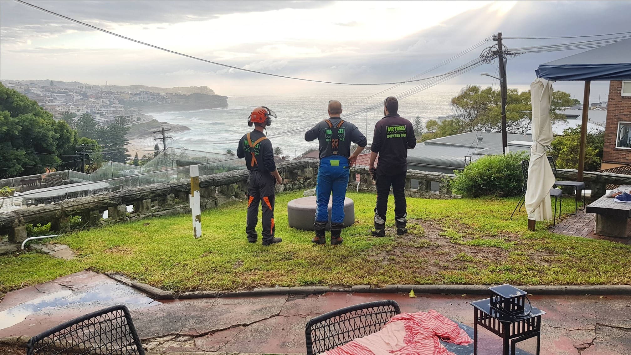 MR TREES team at work in Eastern Suburbs Sydney
