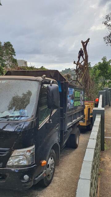 Dead Tree Removal — Edgecliff