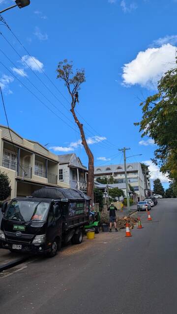 Peppermint Gum Removal — Balmain