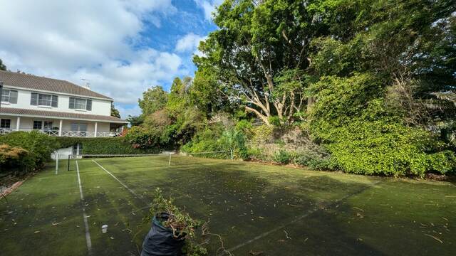 Port Jackson Fig Reduction — Vaucluse