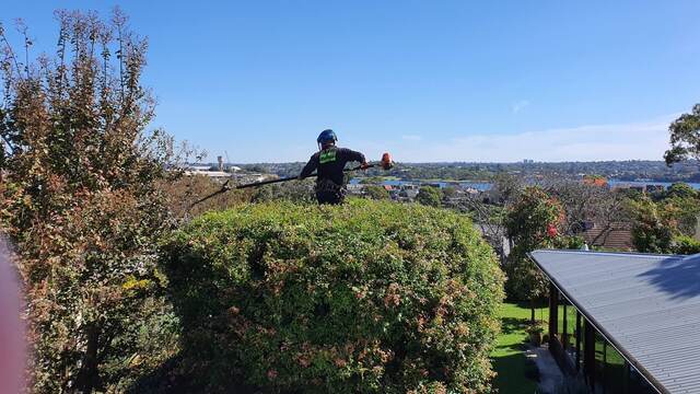 Tree Pruning