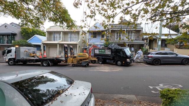 Tree Removal